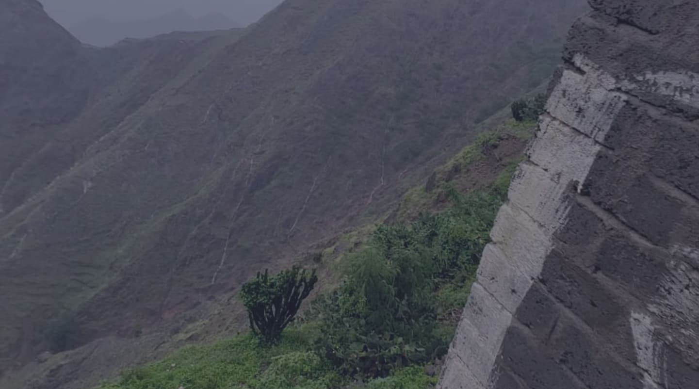 Coffee farm mountains